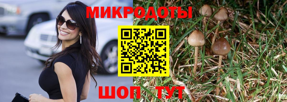 Псилоцибиновые грибы Cubensis  Псилоцибиновые грибы мицелий  Вход с VPN  Тамбов 