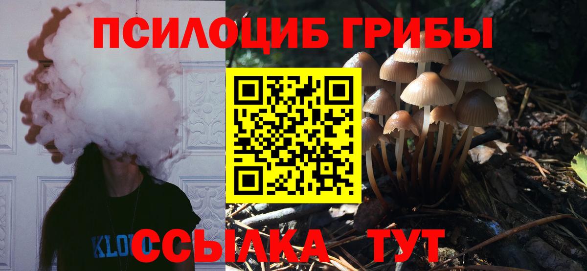 Галлюциногенные грибы Magic Shrooms Тамбов