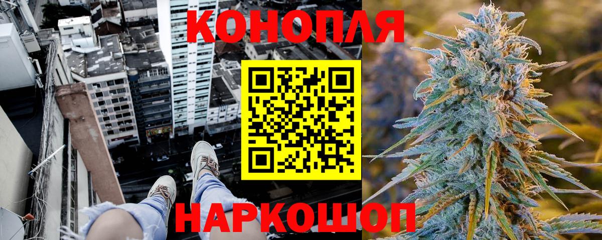 Бошки Шишки AK-47  Марихуана Ganja  Тамбов  Бошки Шишки план  Вход с VPN  Бошки марихуана тримм 